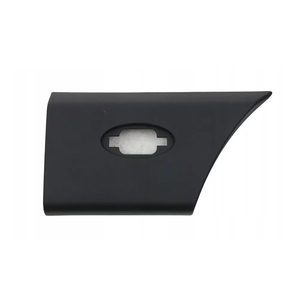 Seitenschutzleiste Renault Master L3