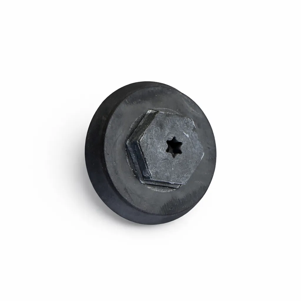 [RK0720] Dichtschraube Dachträger