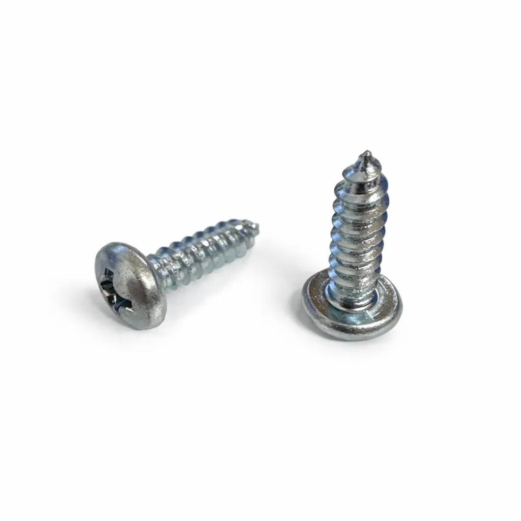 [RK0824] Blechschraube 5.4x19 BDS